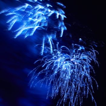 Blue colorful fireworks on the black sky background