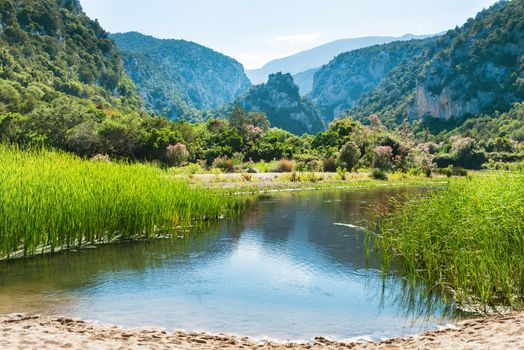 Beautiful landscape on the lake coast with flowers, green grass and mountains on background