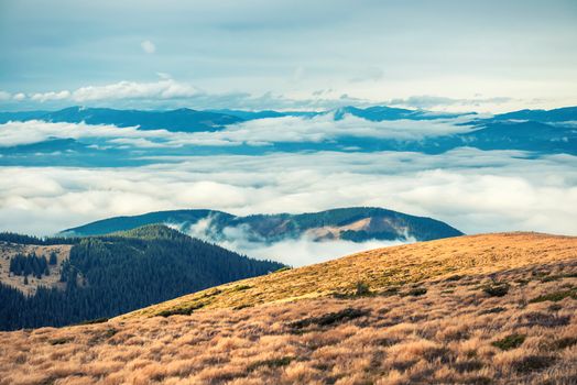 View from the mountain to beautiful landscape with grass and blue clouds. Hoverla, Ukraine.