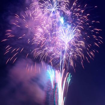 Colorful fireworks on the black sky background