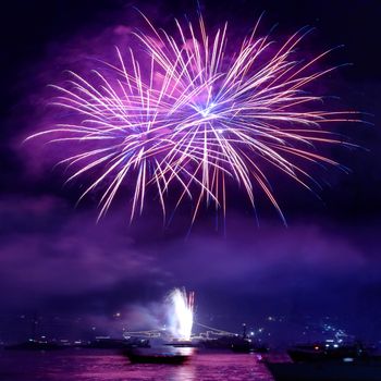 Colorful fireworks on the black sky background