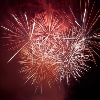 Red colorful fireworks on the black sky background. Holiday celebration.