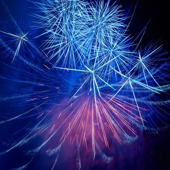 Blue colorful fireworks on the black sky background. Holiday celebration.