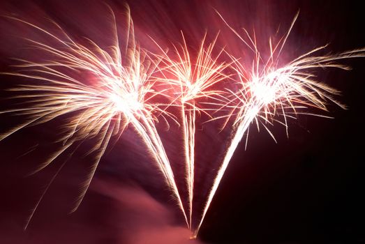 Colorful fireworks on the black sky background