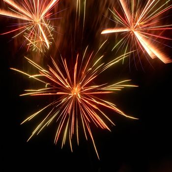 Colorful fireworks on the black sky background