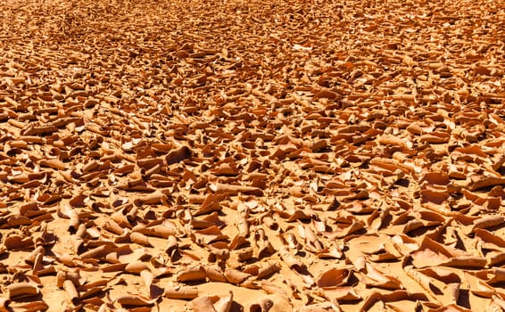 Cracked earth in  Sahara desert, morocco africa