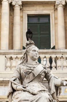 sculpture of Queen Victoria with pigeon in front of the building of library on Republic Square in capital of Malta -Valletta, Europe
 