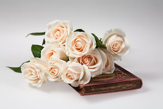 Still life with flowers on a studio background