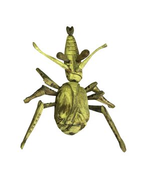 Artificial wooden bug isolated on white with clipping path