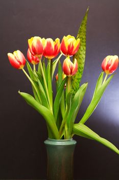 Bunch of tulips in nice ceramic vase on dark background