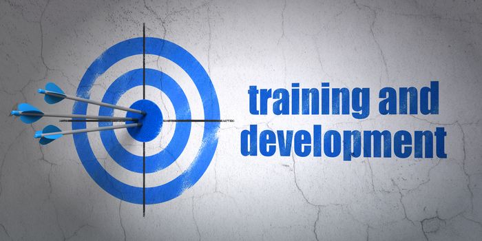 Success Studying concept: arrows hitting the center of target, Blue Training and Development on wall background