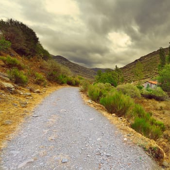 Dirt Road in the Cantabrian Mountains, Spain, Vintage Style Toned Picture