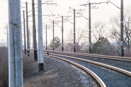 view of the railway close up at sunset