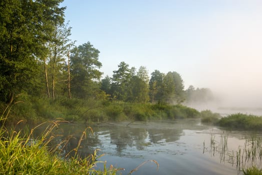 landscape with natural fogy river, nature series