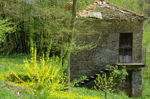 This photo represents a small farmhouse with a yellow tree in a forest.