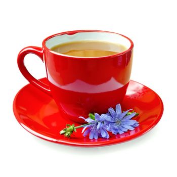 Chicory drink in a red cup with flower chicory on a saucer isolated on white background