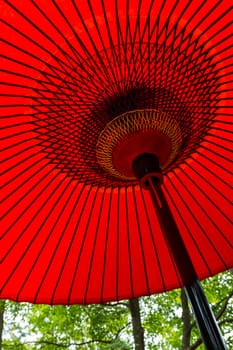 Red oriental paper umbrella