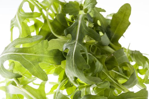 rucola  leaves on a white background, close up.