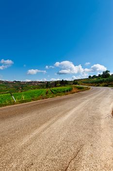 Winding Paved Road in Tuscany, Italy