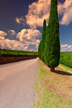 Hill of Tuscany with Vineyards and Cypresses at Sunset, Vintage Style Toned Picture 