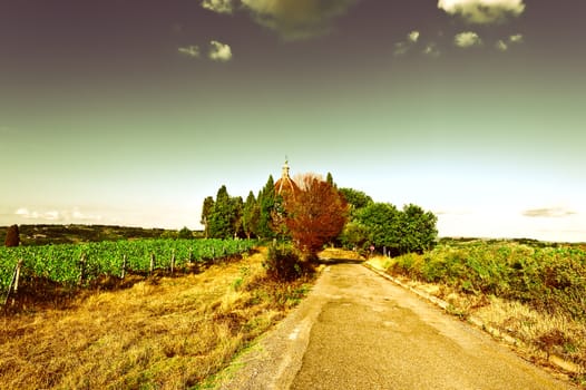  Paved Road leading to the Temple in Tuscany, Italy, Vintage Style Toned Picture