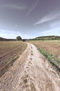 Many Hay Bales along the Dirt Road Leading to the Farmhouse in Tuscany, Italy, Vintage Style Toned Picture