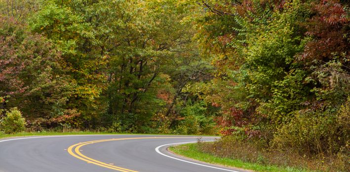 fall foliage road way