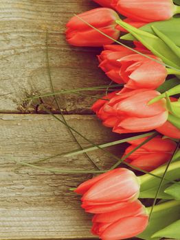 Frame of Spring Tulips with Green Grass closeup on Rustic Wooden background. Retro Styled
