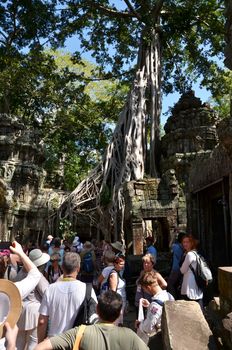 Siem Reap, Cambodia - December 3, 2015: Tourists visit Ta Prohm temple at Angkor, Siem Reap, Cambodia. The photogenic and atmospheric combination of trees growing out of the ruins and the jungle surroundings have made it one of Angkor's most popular temples with visitors.