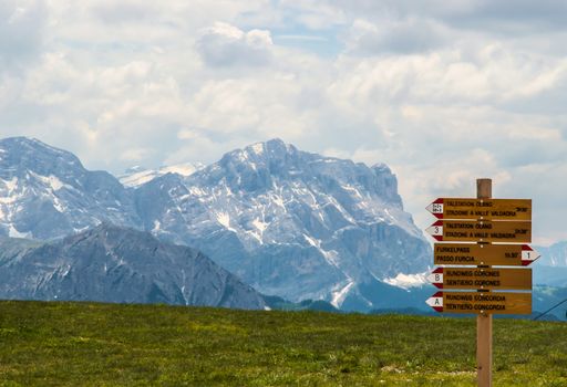 Alpine meadow with wooden signage that indicate many trails.