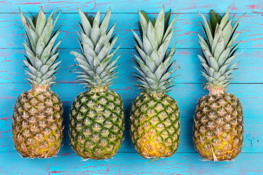 Four large ripe pineapple fruits arranged next to each other on old blue wooden plank table or floor background