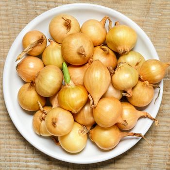 Small onion sets ready for seed, is in the plate on the old Board