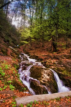 Spring waterfall and forest stream in mountains