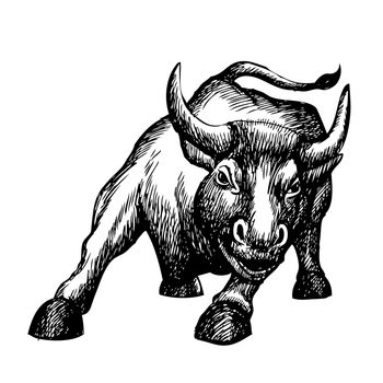 freehand sketch illustration of charging bull,  doodle hand drawn