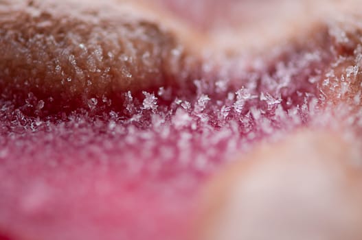 Abstract look of a close-up on ice cream