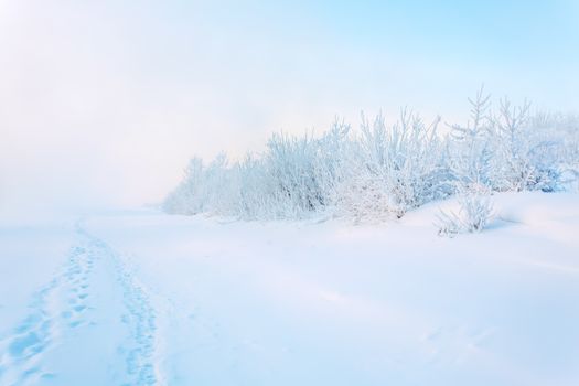 Fog on the river in winter