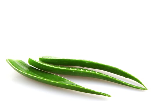 Aloe vera plant isolated on white.