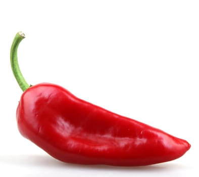 Red Pepper