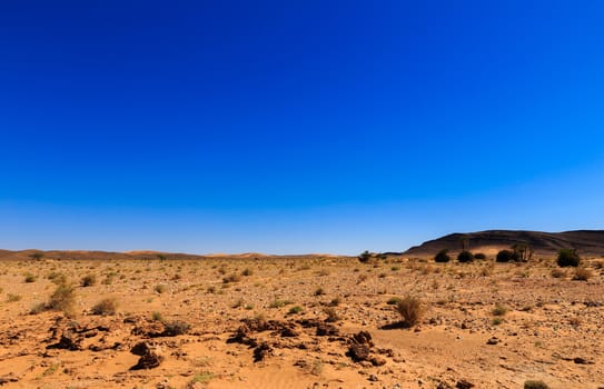 the landscape in the Sahara desert, Morocco