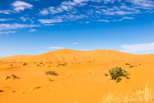 dune erg Chebbi in the blue sky, Morocco