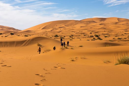 Sahara desert. People go in the sun on the Sands of the desert.