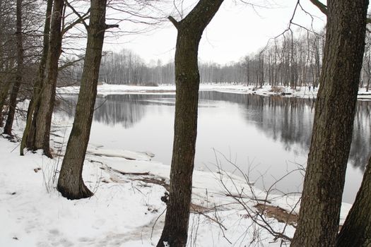 the river Winter landscape leafless trees