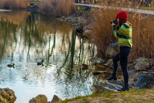 A teenager girl in red hat and green striped sweater is taking pictures of ducks on a lake.