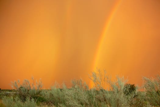 rainbow at kgalagadi transfrontier park south africa