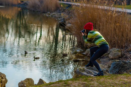A teenager girl in red hat and green striped sweater is passionately taking pictures of ducks on a lake.