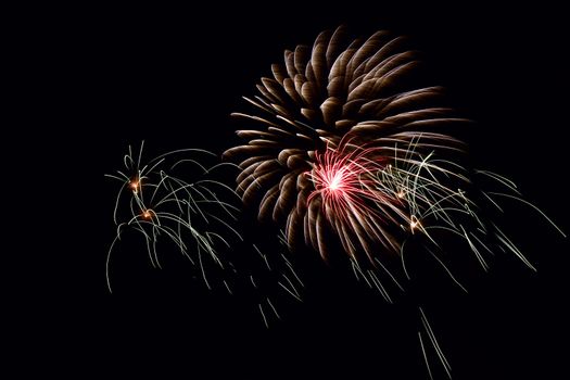 multicolored fireworks in the night sky
