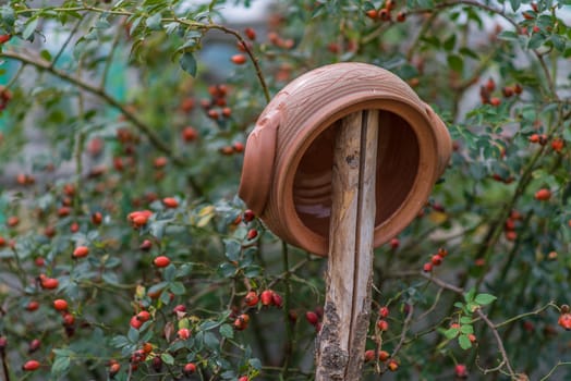 Clay tureen hanging on a wooden stick on a background of rose hips. Kitchen is closed