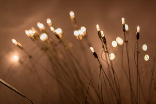 Floor light with tiny light bulbs. Shallow depth of field. Bulb bush.