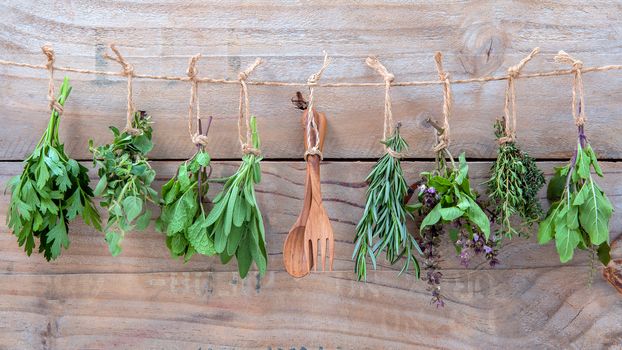 Assorted hanging herbs ,parsley ,oregano,mint,sage,rosemary,sweet basil,holy basil,  and thyme for seasoning concept on rustic old wooden background.