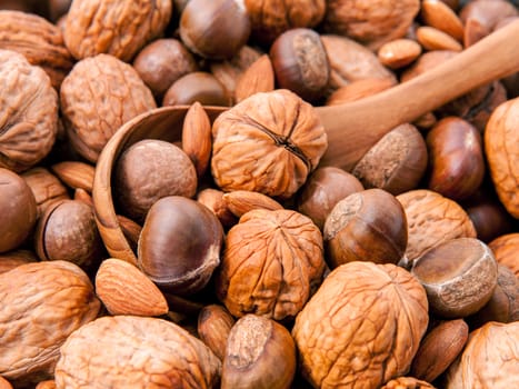 Wooden spoon on different kinds of nuts in shells ,cashew, almond, walnut, hazelnut, pistachio, hazelnuts, pecan macadamia.